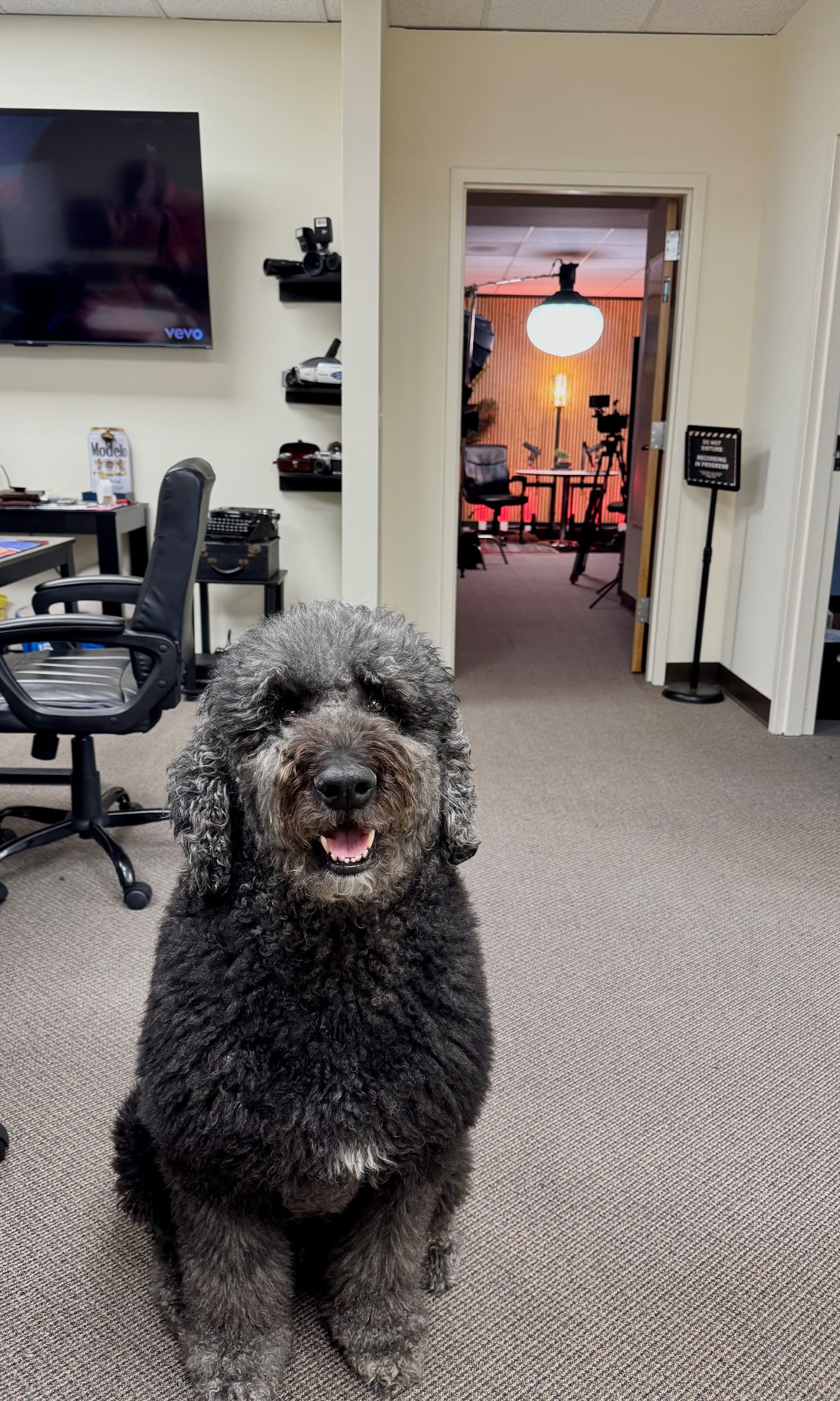 Welcome to HV Podcasting studio lobby