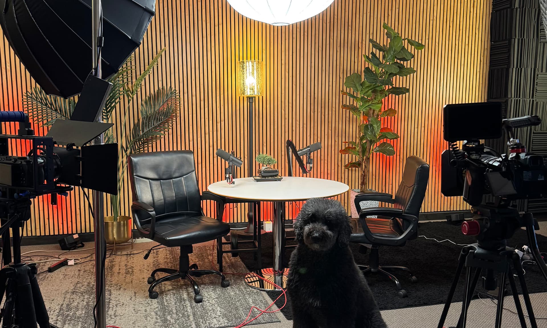 HV Podcasting main studio set with round table, cameras, and professional lighting